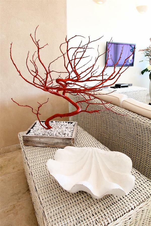 Hotel Bagni Lido Vada Εξωτερικό φωτογραφία